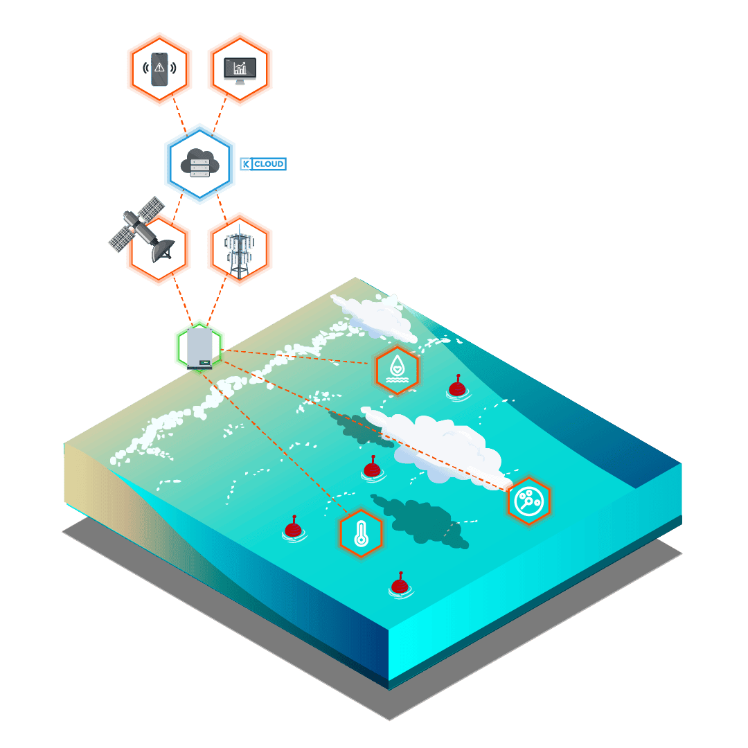 New site surveillance