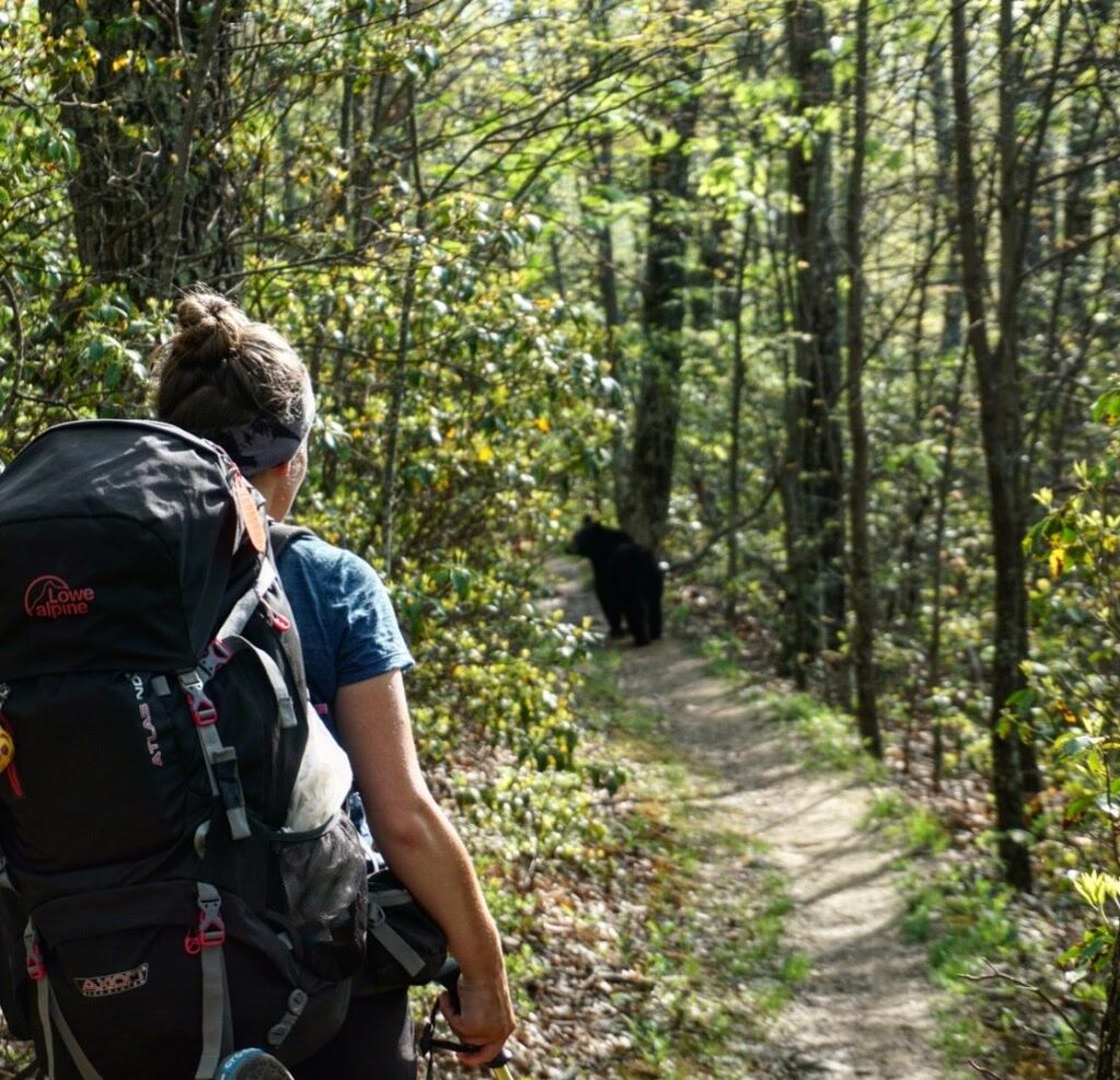 Sian meeting a bear at Shenandoah National Park during one of her hikes across the USA.