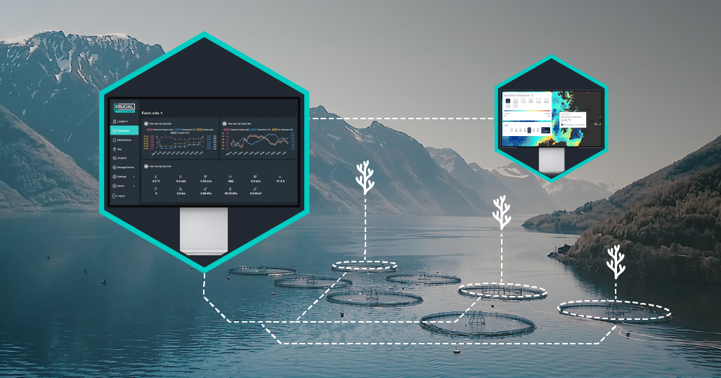 The hidden costs of harmful algal blooms - and how Connected Seafarm can help