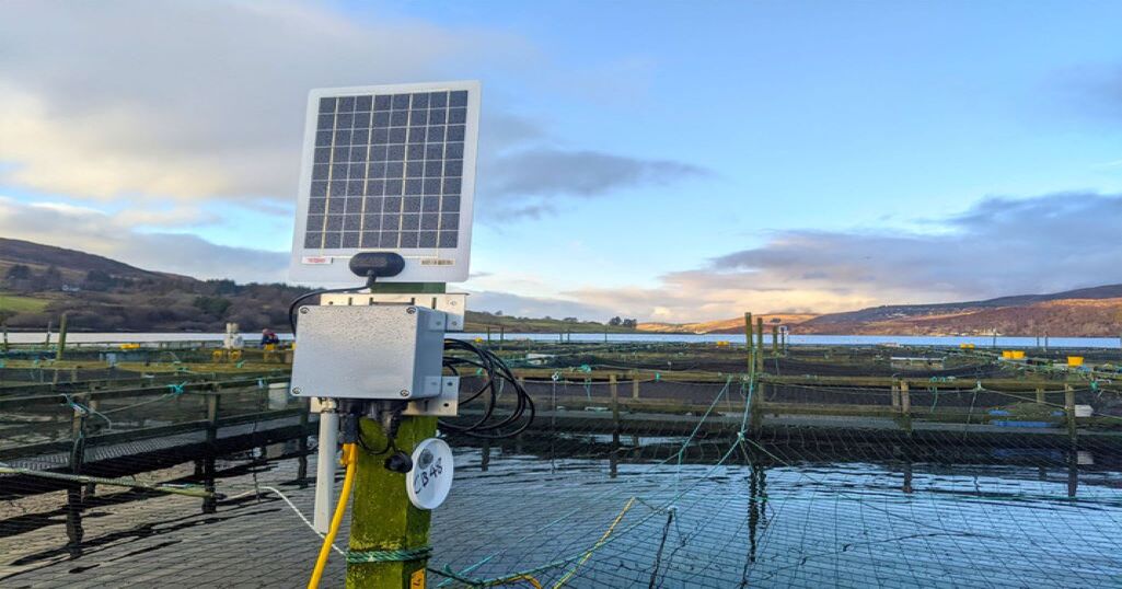 Scottish salmon industry successfully trials platform aimed at closing IIoT connectivity gap