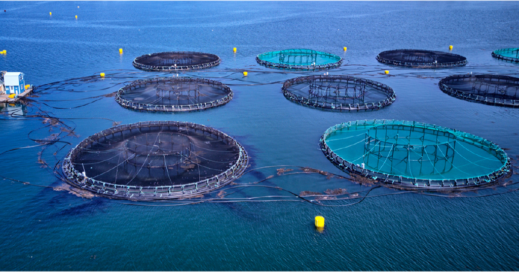 Revolutionising Scotland’s aquaculture sector