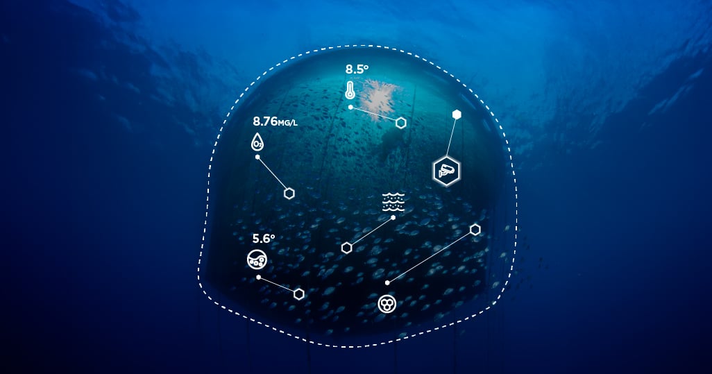Mitigating Risk in Aquaculture with Connected Seafarm