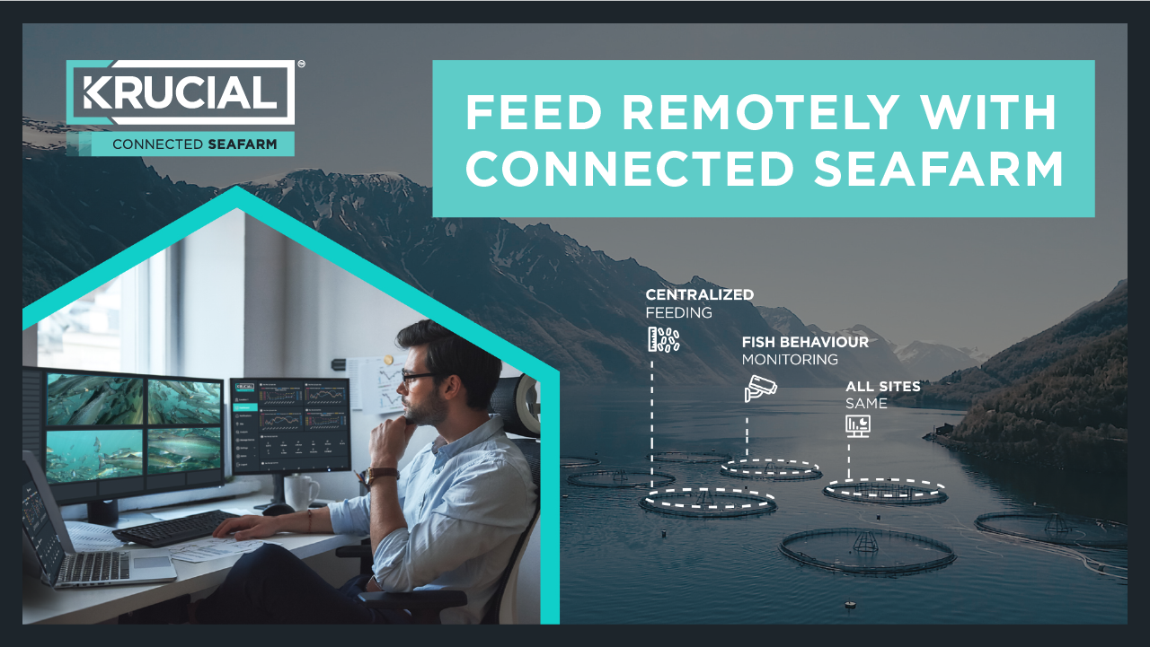Feed remotely with Connected Seafarm - Video